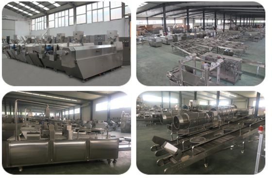 WEG / Siemens Motor เครื่องบํารุงสัตว์เลี้ยงที่มีส่วนประกอบต่าง ๆ เพิ่ม