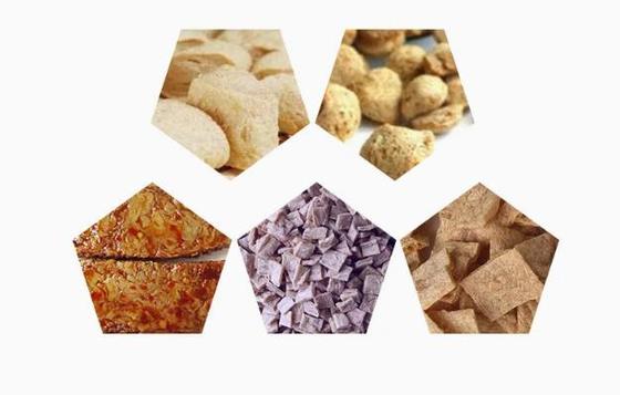 เครื่องทำโปรตีนถั่วเหลืองชนิดเส้น / เครื่องทำชิ้นเนื้อถั่วเหลือง รูปแบบ AutoCAD เวอร์ชั่นภาษาอังกฤษ